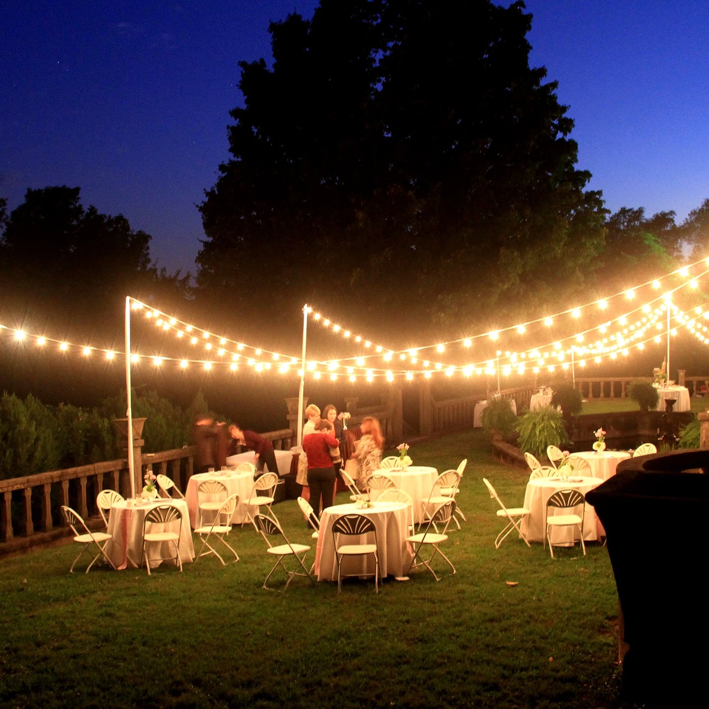 200FT ST38 LED Globe String Lights, 48 E12 Bulbs 2700K Warm White, High Voltage, Black Cable with Hooks & Replaceable Shatterpro