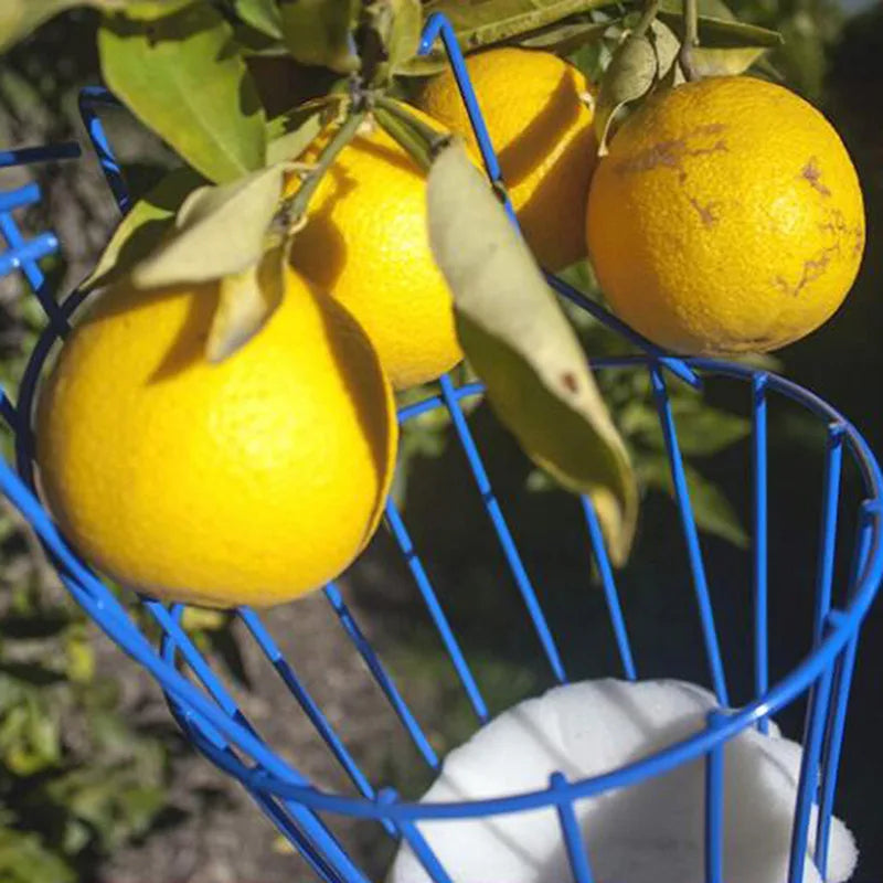 Deep Basket Fruit Picker Head Convenient Fruit Picker Catcher Apple Peach Picking Farm Garden Picking Device Garden Tools